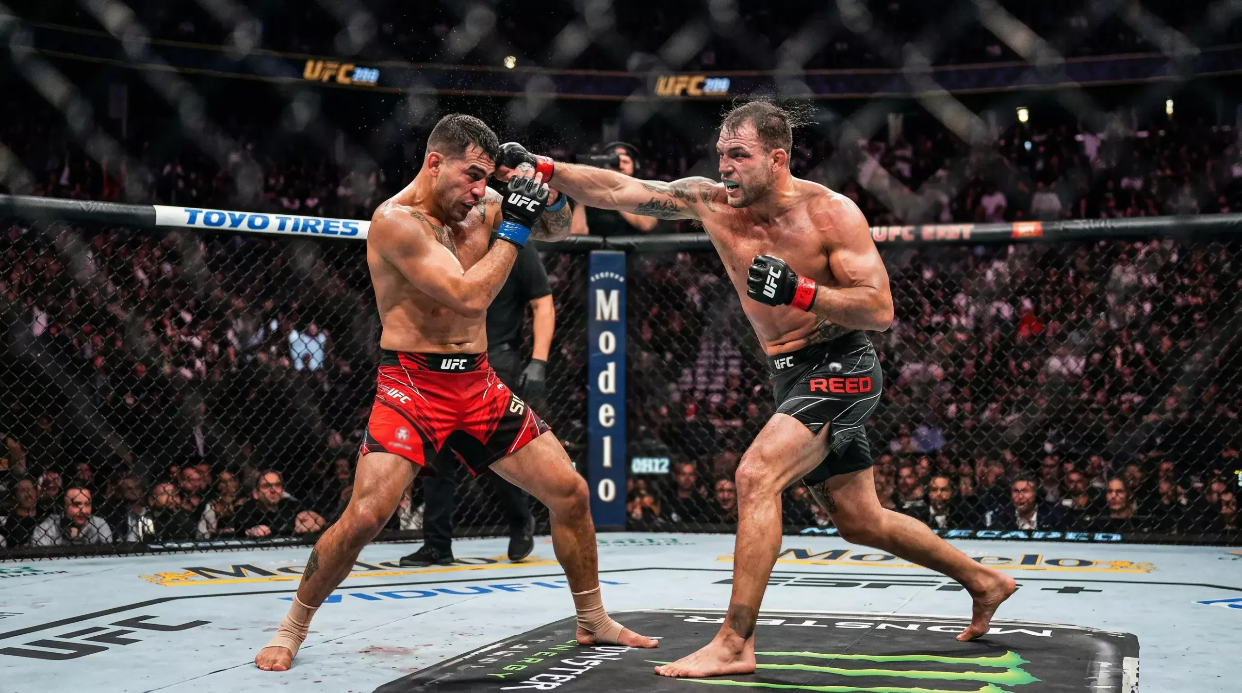 MMA-Kämpfer im Oktagon während eines spannenden Kampfmoments